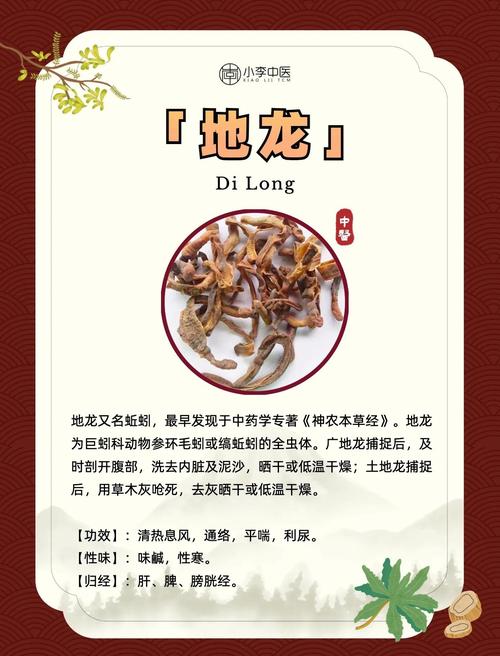 踩地神拔草龙的实现方法与技巧