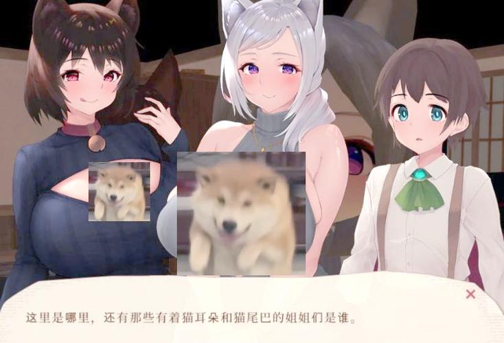 魔女与猫的桃源乡游戏攻略技巧大全？高效通关方法全解析！