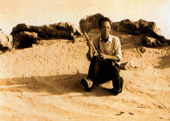 祖父遗产太离奇!秘密组织安卓真相超乎想象