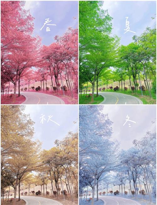 四季如何下载操作步骤？简单3步轻松学会快速下载！