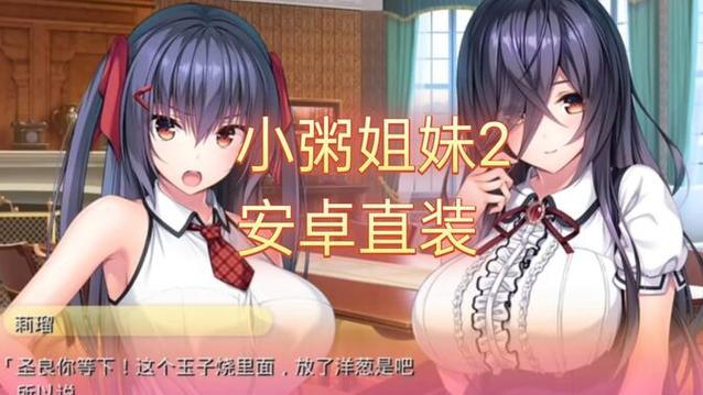 小粥姐妹的黏膜游戏手机怎么装？小白也能看懂的教程