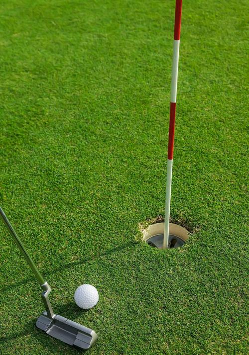 高尔夫是棒球洞的运动更新地址选哪个平台?这几个渠道最靠谱!