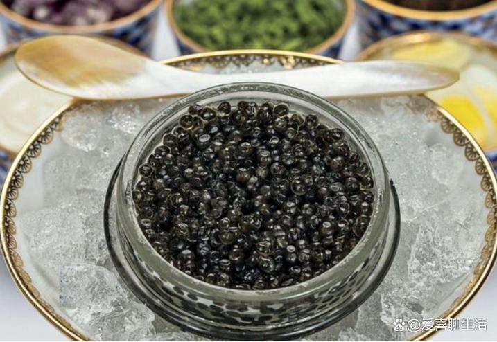 鱼子酱在哪下载简单快?(五步教程轻松操作法)