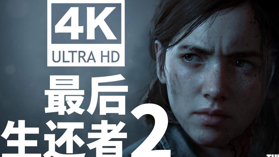 最后的生还者2官方网站怎么互动？加入社区交流全攻略！