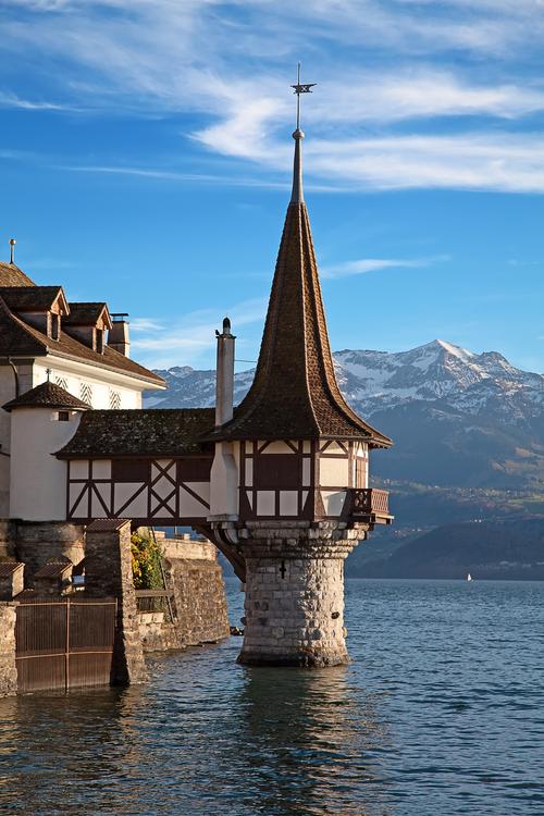 瓦尼亚的城堡安卓下载在哪？附详细安装教程！