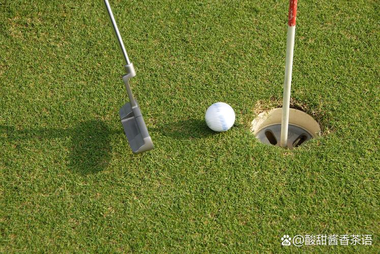 高尔夫是棒球洞的运动更新地址选哪个平台？这几个渠道最靠谱！