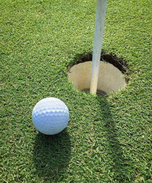 高尔夫是棒球洞的运动更新地址选哪个平台?这几个渠道最靠谱!