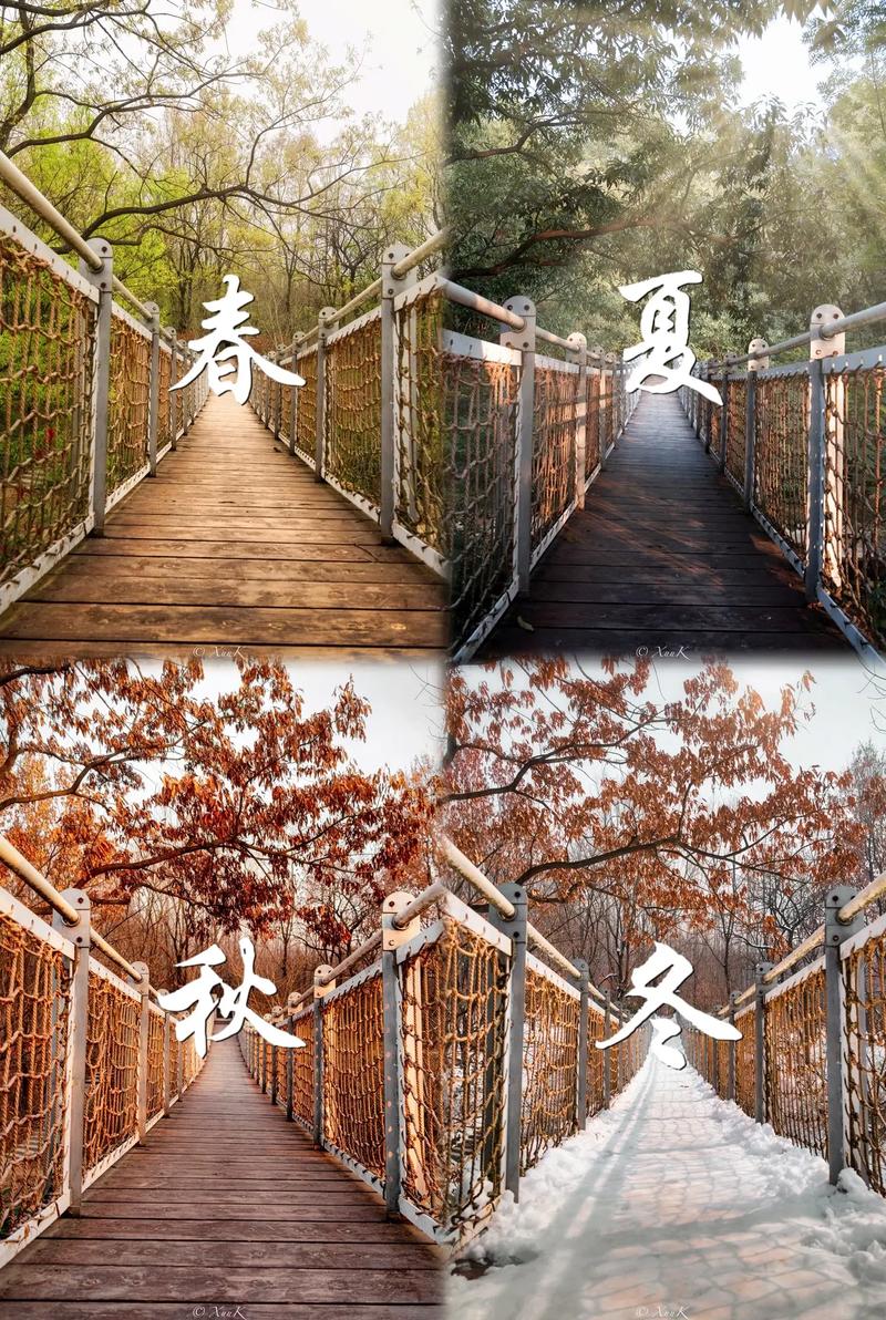 四季最新版本是多少？2024官方下载指南在这！