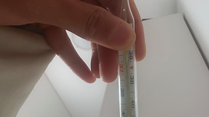 测量我的JING液杨过游戏安全吗？老玩家真实评价告诉你真相！