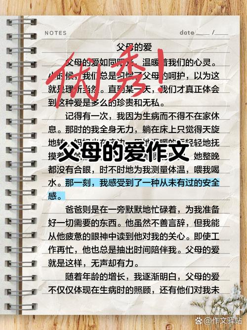 父母的爱官网打不开怎么办？试试这几个最新解决方法！