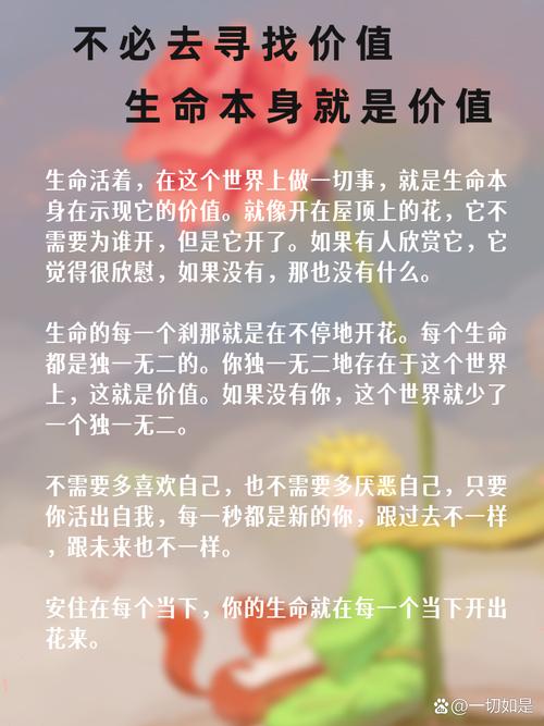 生命的回报官网是做什么的？一分钟带你快速了解！
