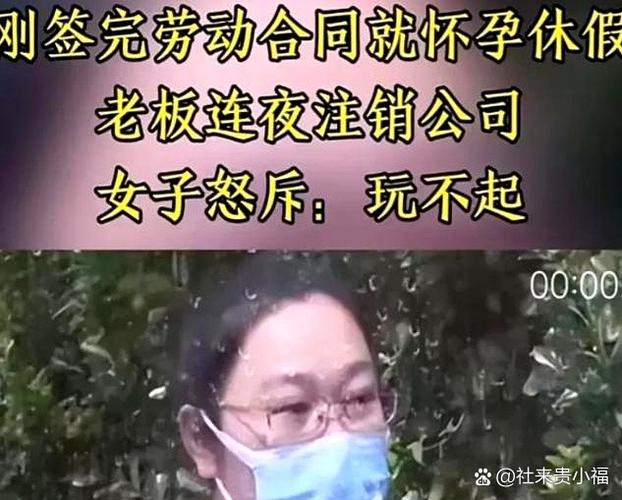 哪里可以找到请成为最能干的VTuber吧如何下载？附带高速下载链接！
