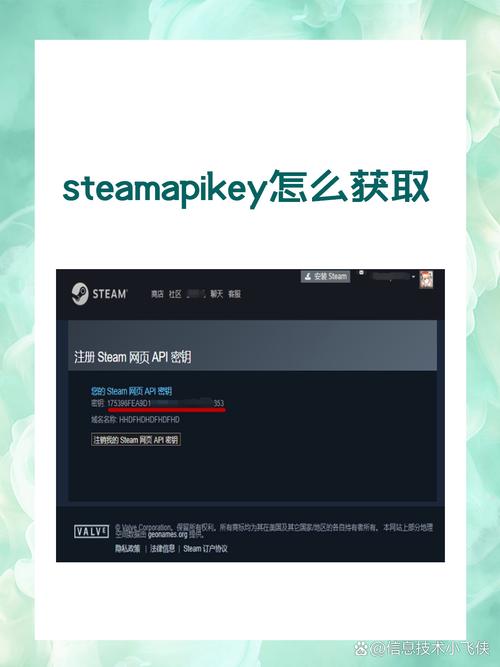 steam_api64.dll下载后放哪里？一看就懂的具体位置教程！