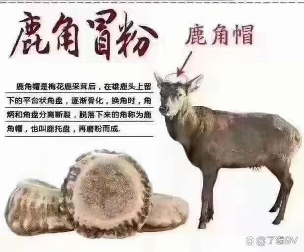 羊叫兽现在怎么样了？当事人最新生活状态曝光！