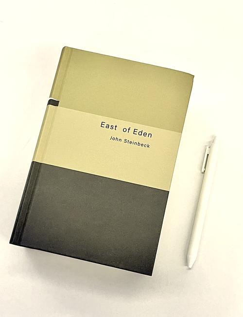 勇气之书到底好不好看？深度书评告诉你真实的价值所在！