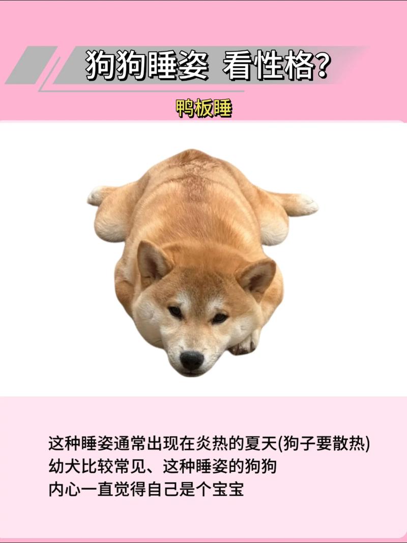 哪种动物睡眠睁一只眼闭一只眼(学会4点警惕技巧分享)