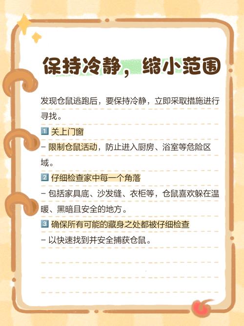 小熊快跑有哪些技巧？老玩家分享超实用跑酷秘籍！