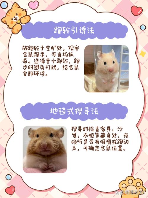 小熊快跑有哪些技巧？老玩家分享超实用跑酷秘籍！