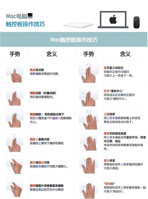 智能abc怎么用？掌握这些技巧轻松上手！