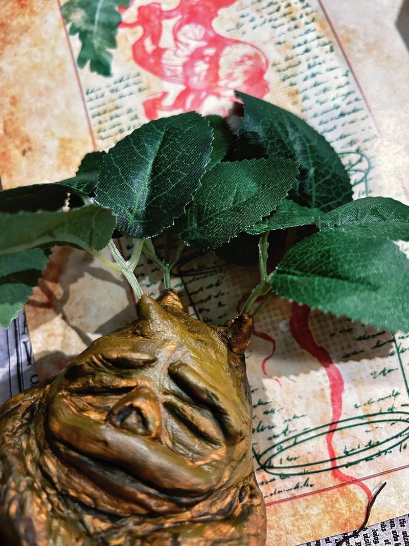 曼德拉草在哈利波特里叫什么？揭秘它能治愈石化的真相！