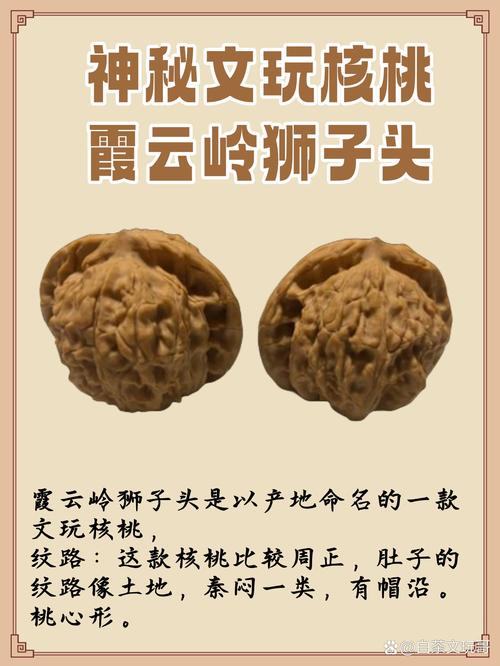 核桃云端到底是什么?新手入门必看这篇使用指南!