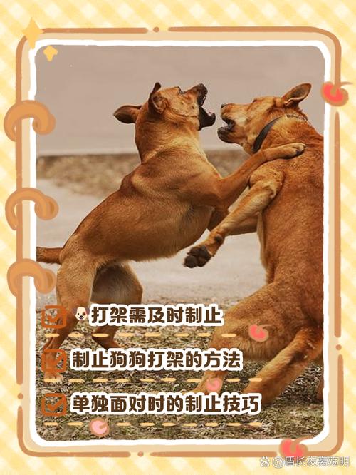 宠物大战怎么才能赢？新手必备的三个核心技巧让你轻松上手。