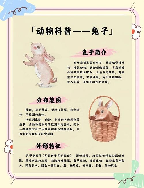 顽皮兔性格特点有哪些？为什么它总是那么调皮捣蛋？