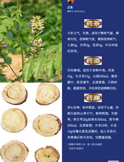 如何挑选优质的甘草种子？行内人教你分辨新旧种子诀窍。