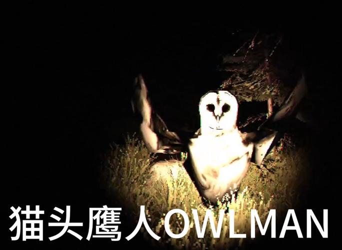 都市传说“猫头鹰人”到底是什么？起源和传说一次讲清楚！