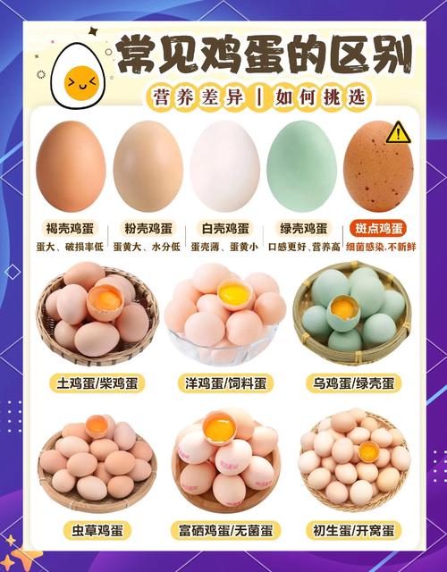 接鸡蛋的高分秘诀是什么？掌握这3个方法你也能成为游戏大神！