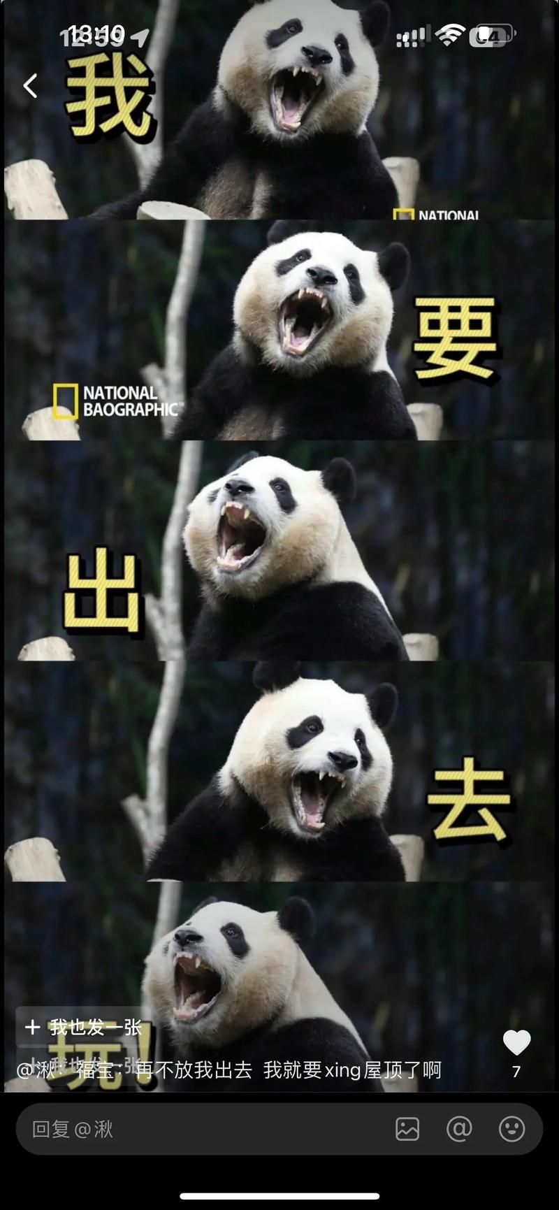 我决定要去玩了!(带你体验最新的放松方式)