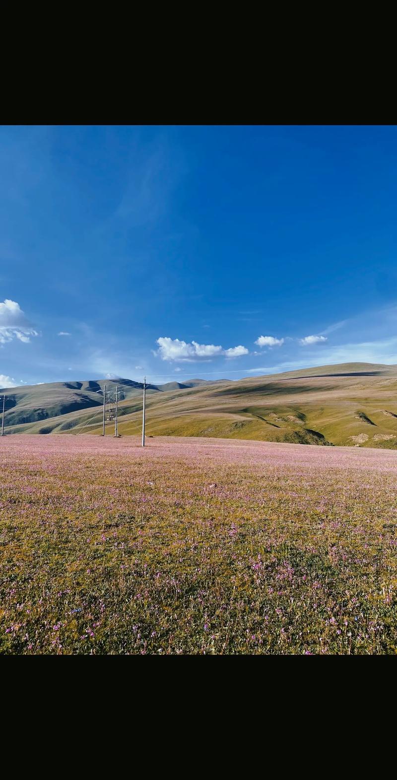 理塘县因格桑花海被称为天空之城怎么去？交通攻略指南