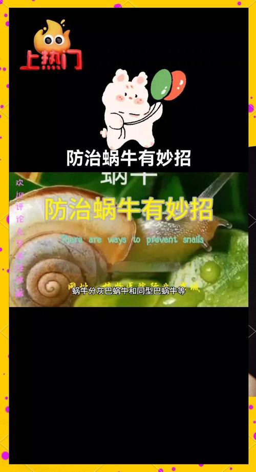 奔跑的蜗牛避免什么坑？(资深经验教训分享避雷)