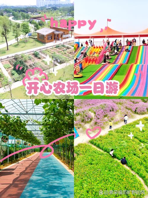 开心农家乐好玩吗？这几个游玩项目让你乐翻天！