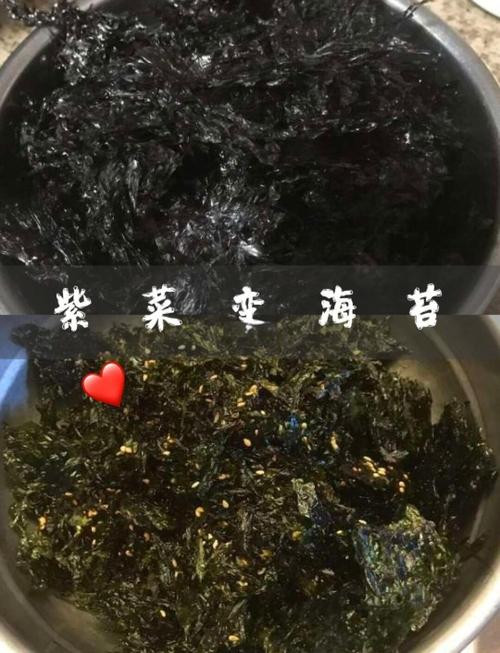 海苔制作离不开它！核心海藻原料原来是这种紫菜