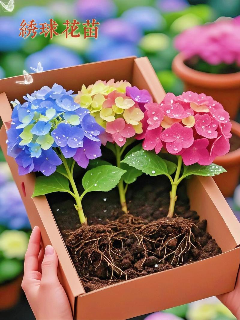 每天只花5分钟练梦幻调息！帮你彻底告别焦虑和内心不安