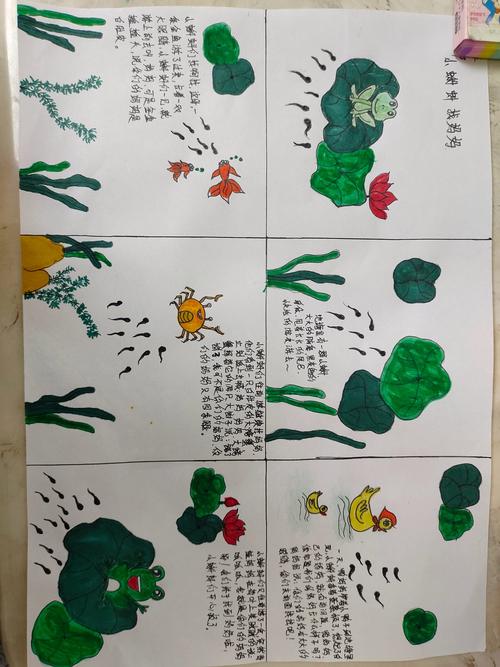 蝌蚪神仙道情节精彩吗?故事内容深度解析!