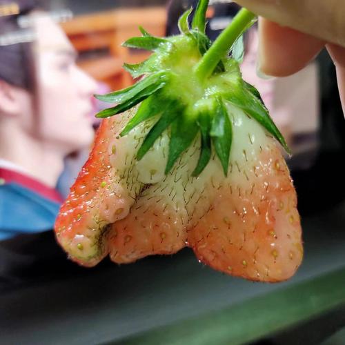 FunnyMudPee什么意思实用指南？五步带你轻松掌握！