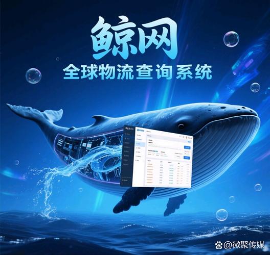 使用巨鲸网安全吗？资深玩家教你如何规避潜在风险！