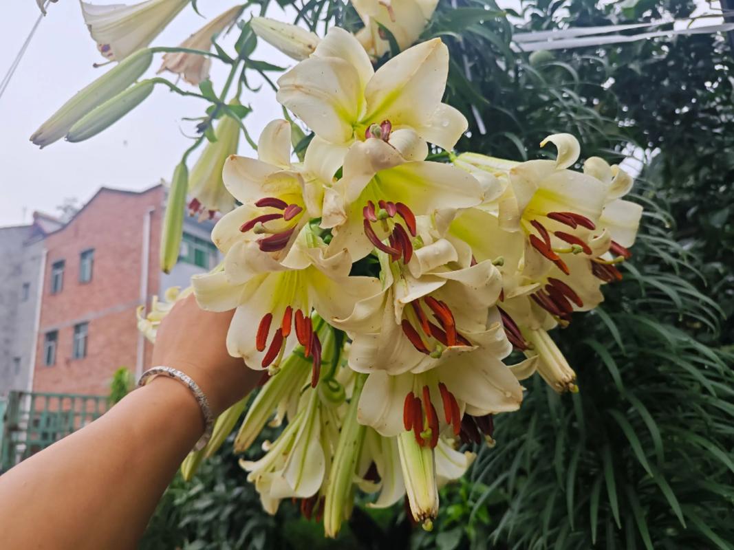 发现自己有百合倾向怎么办？四个步骤教你坦然接受自己