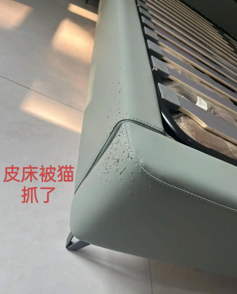 遇见你的猫家具被抓坏？两个妙招轻松解决烦恼