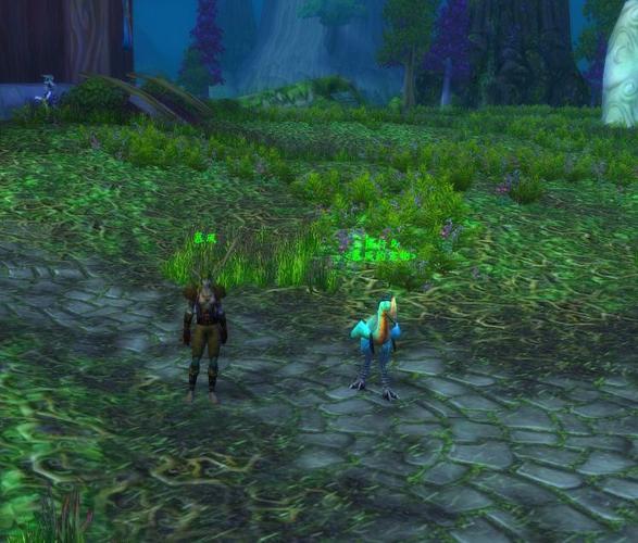 绿色荧光陆行鸟值钱吗(分析这种品种市场价)