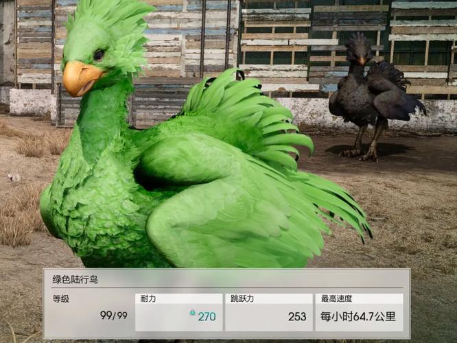 绿色荧光陆行鸟值钱吗(分析这种品种市场价)