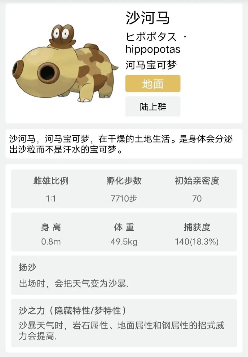 想去看真正的沙河马吗？带你找到它们生活的秘密基地！