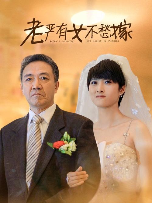 电视剧老严有女演员表：主演阵容都有哪些大咖？