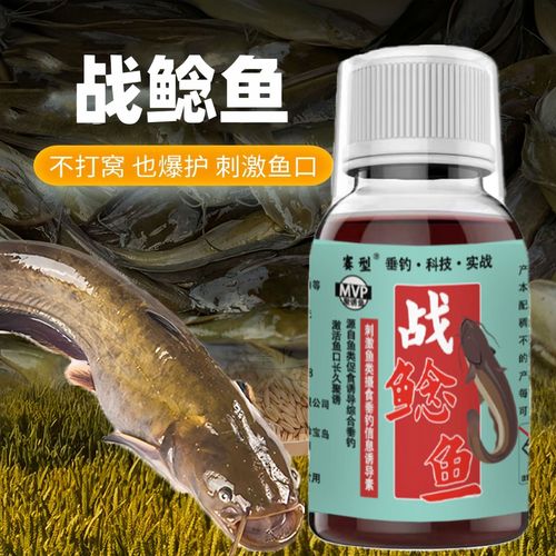 钓鲶鱼王用什么饵料最好？分享三种爆护实战技巧！