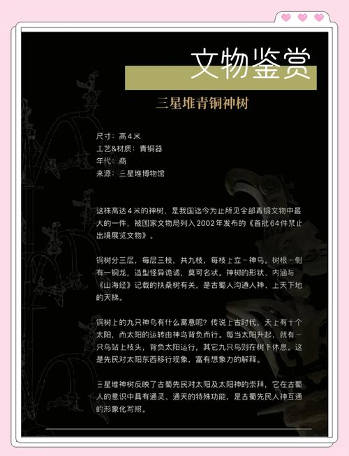 神守柏是什么背景故事？揭秘它背后的神奇能力和用途！