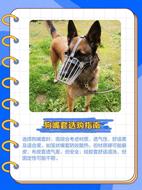 动物套哪里可以买到？网上买还是实体店购买更便宜？