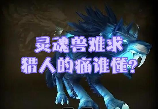 盆地灵魂兽作用有哪些?了解一下不亏!