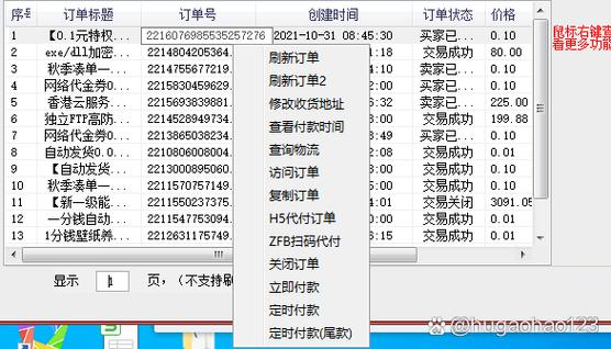抢淘宝用什么软件最快？推荐几款好用的自动抢单工具！（20字）